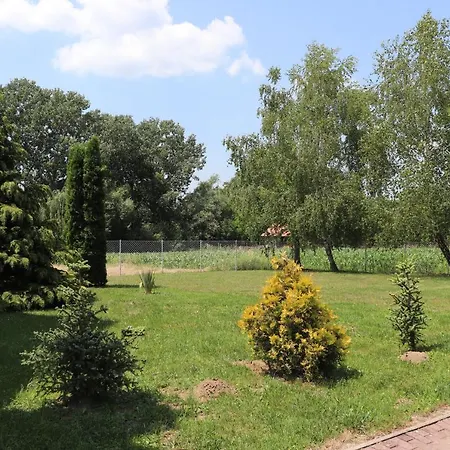 Liget Apartmanhaz アパート ケヒダクスタニー